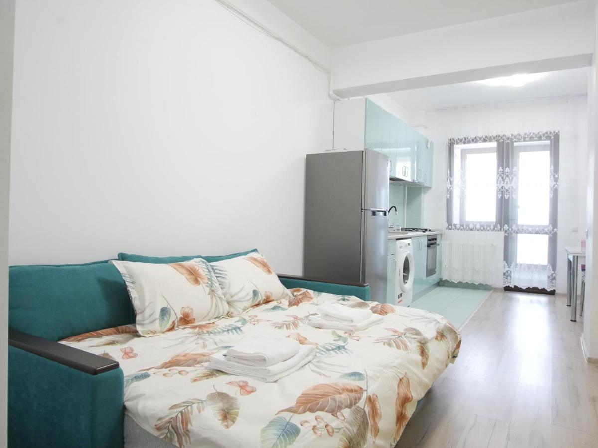 Re Dowtown Apartments - Palas Mall Studio Iasi Exteriér fotografie