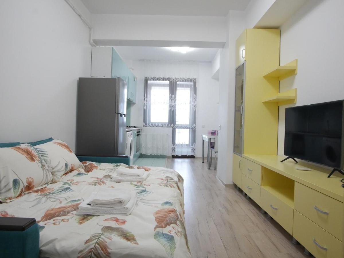 Re Dowtown Apartments - Palas Mall Studio Iasi Exteriér fotografie